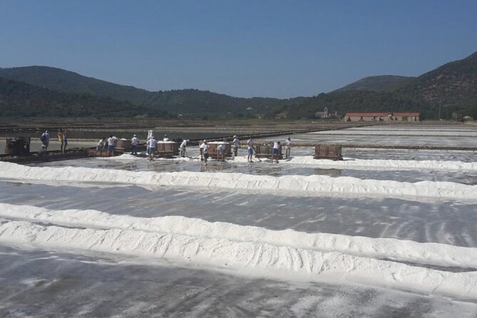 Ston Gastro Tour - Included Activities