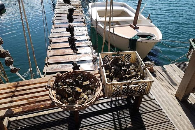 Ston Gastro Tour - Culinary Delights