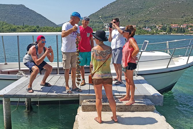 Ston Oyster Tasting Tour From Dubrovnik - Customer Ratings and Comparisons