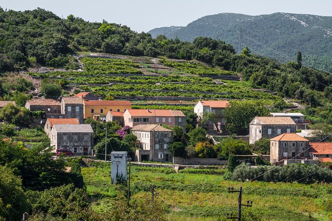 Ston Oyster Tasting Tour From Dubrovnik - Dietary Accommodations
