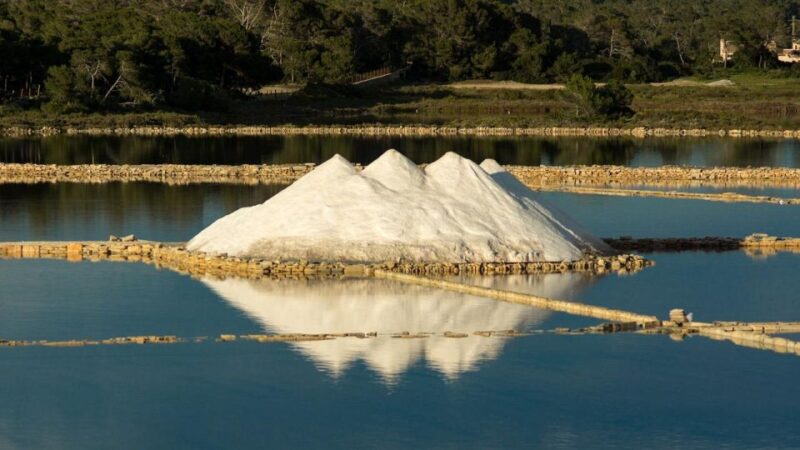 Ston: Salt and Stone Private Walking Tour - Itinerary Highlights