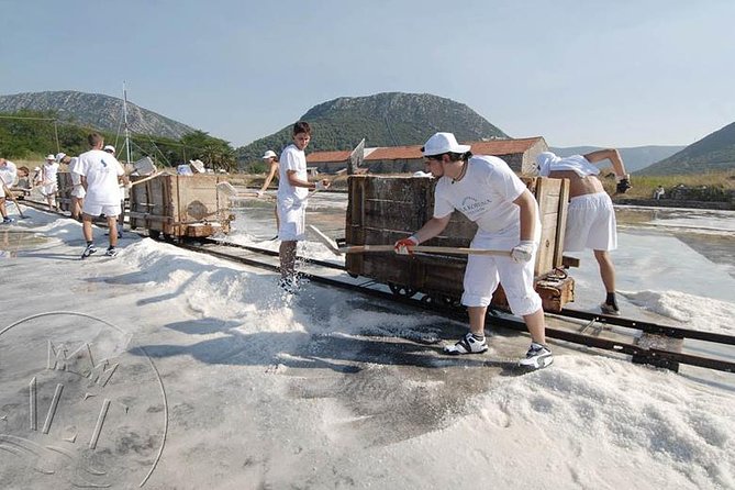 Ston & Trsteno Arboretum - Private Excursion From Dubrovnik W/ Mercedes Vehicle - Booking and Cancellation