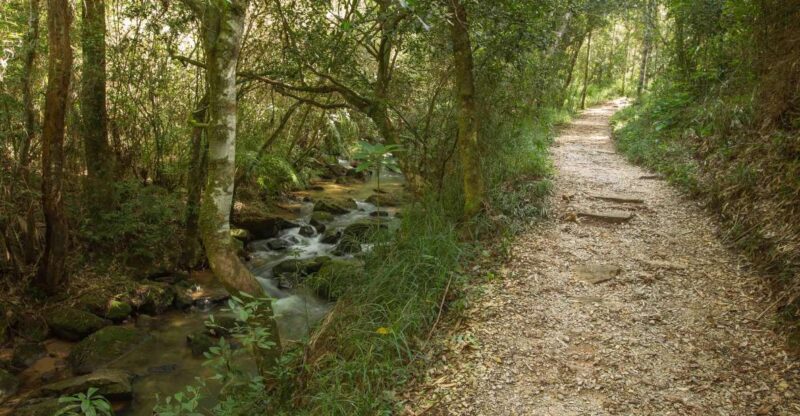 Stone and Nature: Vila Velha and Buraco Do Padre, Paraná - Discovering Buraco Do Padre Waterfall