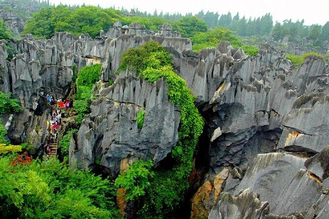 Stone Forest + Yiliang Roast Duck + Kunming City Private Tour - Key Points