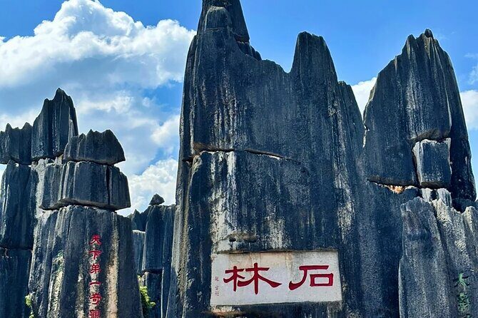 Stone Forest + Yiliang Roast Duck + Kunming City Private Tour - Authentic Experiences and Genuine Impressions