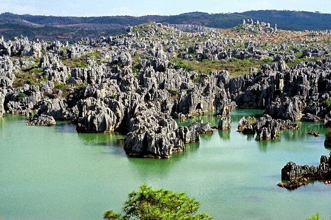 Stone Forest + Yiliang Roast Duck + Kunming City Private Tour - FAQ