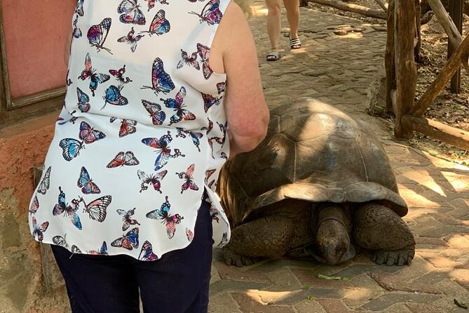STONE Town, SPICE Tour, PRISON ISLAND ( Lunch Included ) - Visit Spice Farm