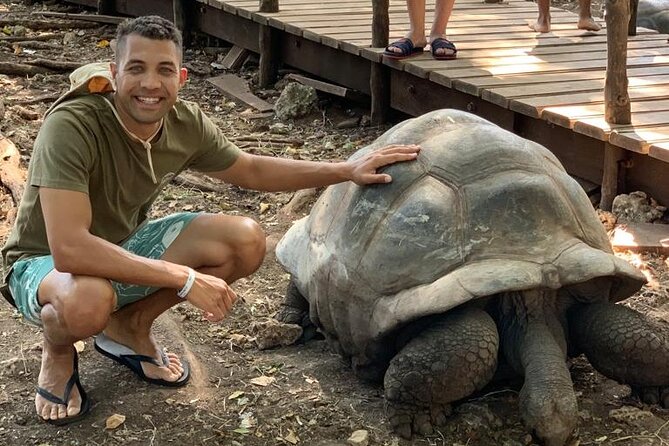 STONE Town, SPICE Tour, PRISON ISLAND ( Lunch Included ) - See Giant Sea Tortoises