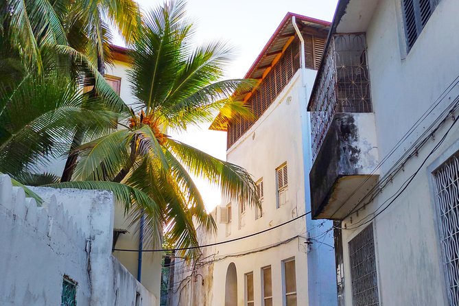 Stone Town Walking Tour in Zanzibar - Overview of the Tour