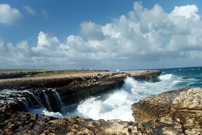 Stonehenge of the Caribbean Antigua Eco Island Tour - Traveler Reviews and Recommendations