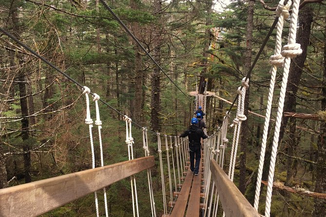 Stoney Creek Canopy Adventure - Scenic Forest Exploration
