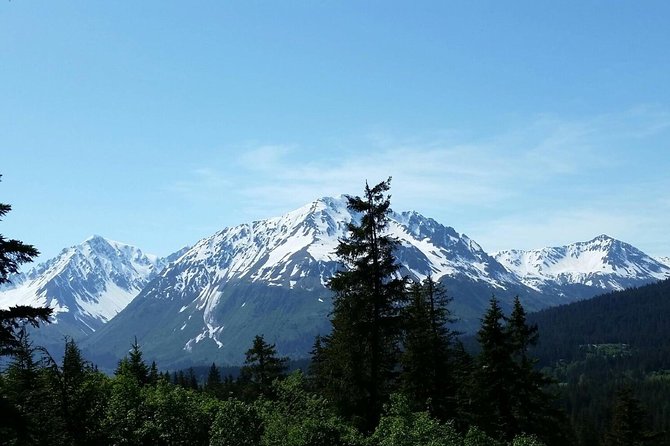 Stoney Creek Canopy Adventure - Transportation and Meeting Details