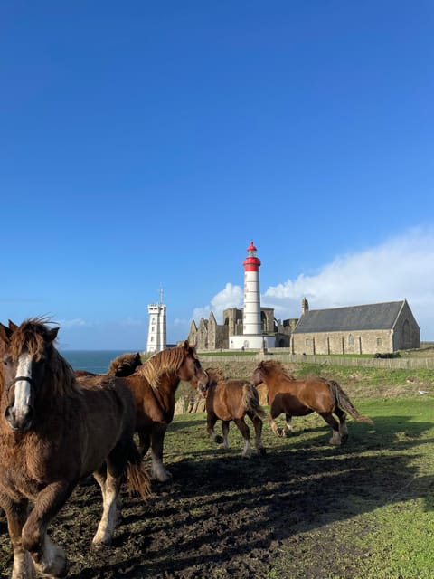 Stories & Legends of Saint Mathieu - Plougonvelin, Brittany - Customer Reviews