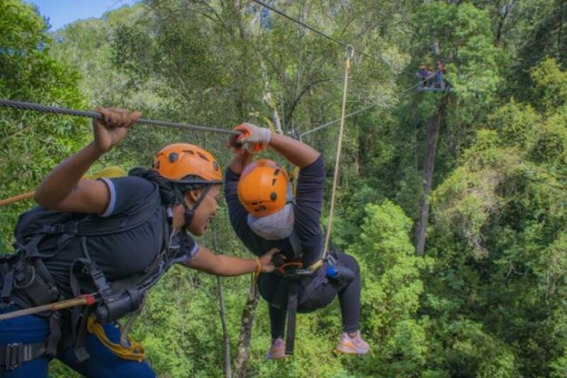 Storms River: Tsitsikamma National Park Zipline Canopy Tour - Safety Equipment and Inclusions