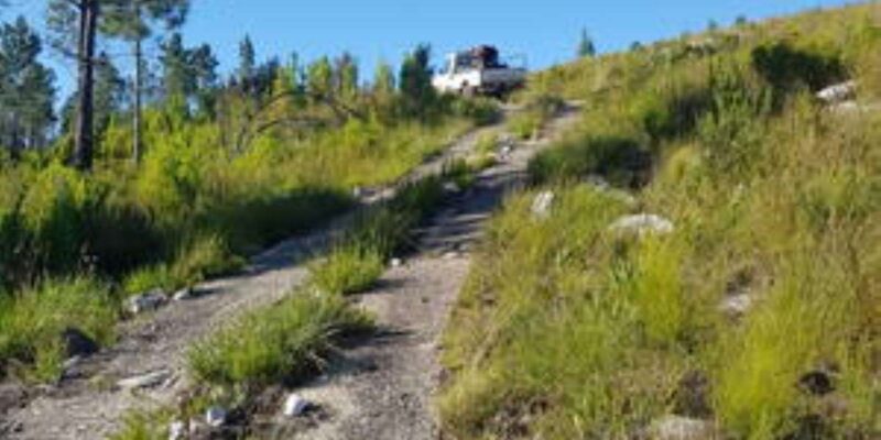 Stormsrivier Village: 2 Hour Bike & Picnic Rental - Children - Key Points
