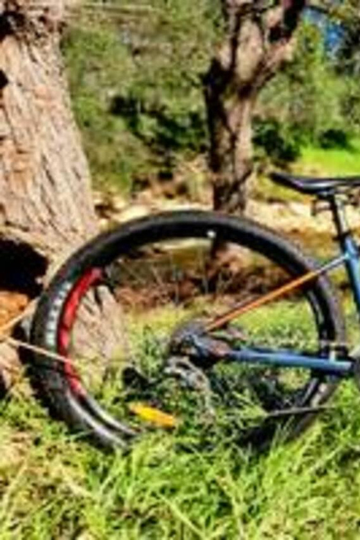Stormsrivier Village : 2 Hour Bike Rental - Adults - Rental Details