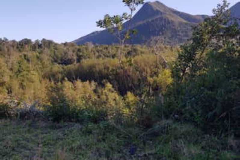 Stormsrivier Village: Bloukrans Pass Cycle Adventure - Child - Sounds of Nature, Clean Air, and Wildflowers