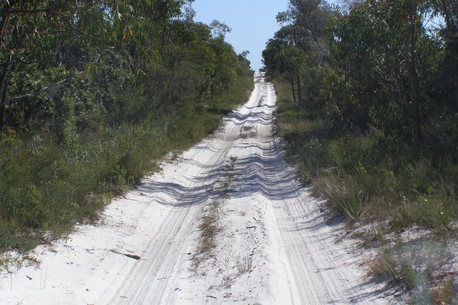 Stradbroke Island 4WD Day Trip From Brisbane - Reviews and Feedback Highlights