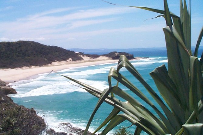 Stradbroke Island 4WD Day Trip From Brisbane - Transportation and Transfers