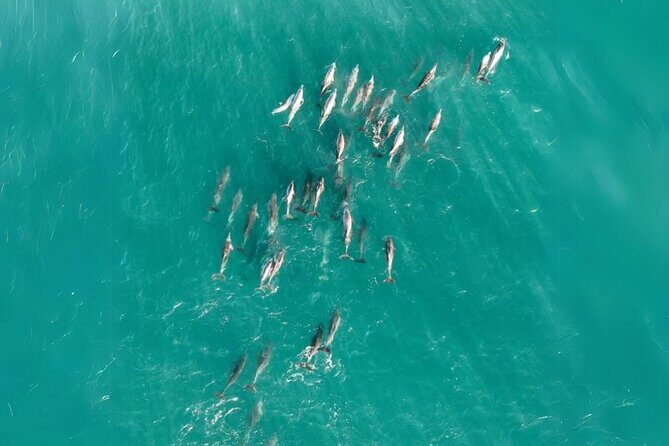 Stradbroke Island Eco Day Trip from Brisbane  Wildlife & Beaches - The North Gorge Walk: A Coastal Wonder