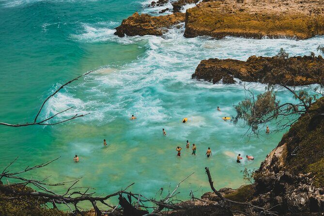 Stradbroke Island Eco Day Trip from Brisbane  Wildlife & Beaches - Amity Point Jetty and Wildlife Viewing