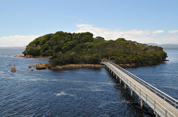 Strahan Day Trip by Air From Hobart Including a Gordon River Cruise - Key Points