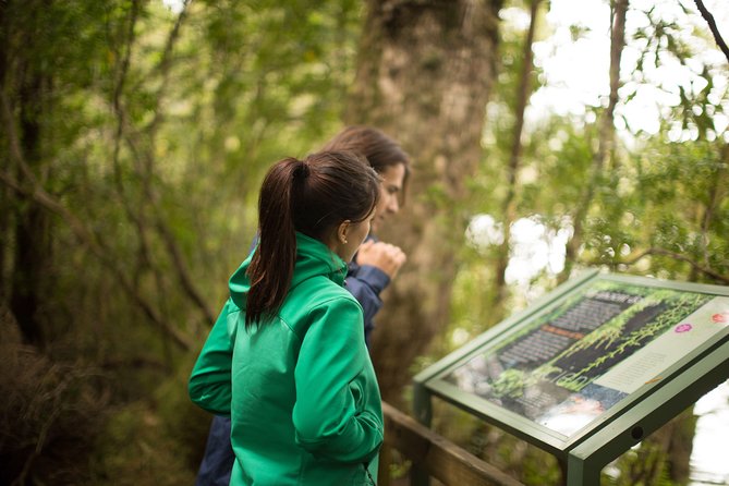 Strahan Day Trip by Air From Hobart Including a Gordon River Cruise - Traveler Ratings