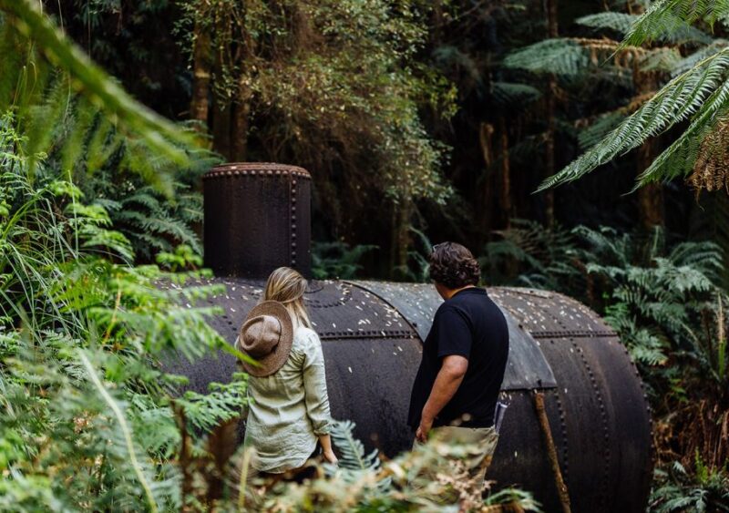Strahan: The Pillinger Explorer Exclusive Cruise - Gourmet Lunch and Beverages Included