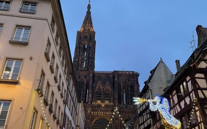 Strasbourg: Christmas Markets Walking Tour With Mulled Wine - Mulled Wine and Hot Juice Tasting