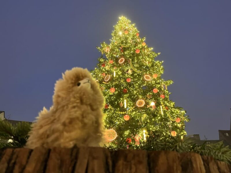 Strasbourg: Christmas Walking Tour With Mulled Wine - Experience Details