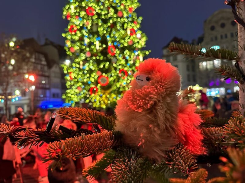 Strasbourg: Christmas Walking Tour With Mulled Wine - Christkindelsmärik: Strasbourgs Historic Christmas Market