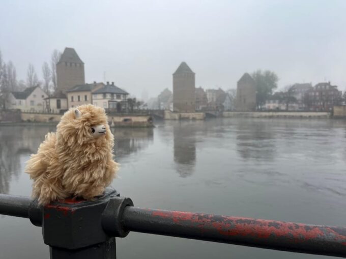 Strasbourg: Christmas Walking Tour With Mulled Wine - Exploring La Petite France and Place Kléber