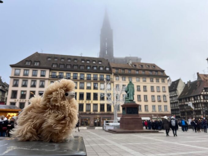 Strasbourg: Christmas Walking Tour With Mulled Wine - Frequently Asked Questions