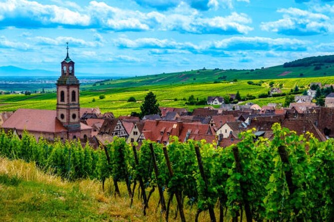 Strasbourg, Colmar, Eguisheim, Riquewihr: Private Excursion - Inclusions