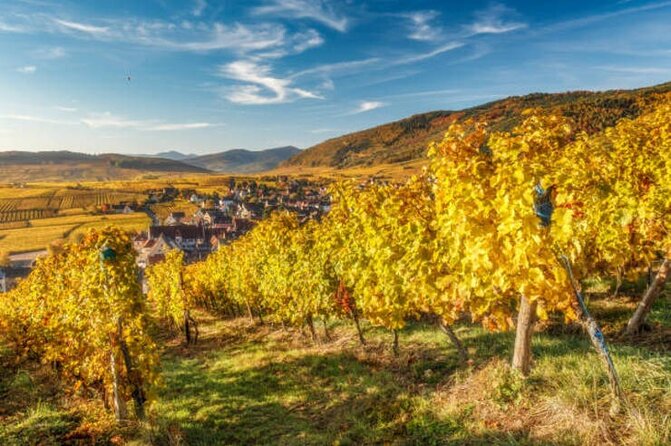 Strasbourg, Colmar, Eguisheim, Riquewihr: Private Excursion - Visiting Eguisheim and Riquewihr