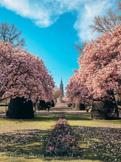 Strasbourg: Guided Historical Neighborhoods Walking Tour - Exploring Place De La République