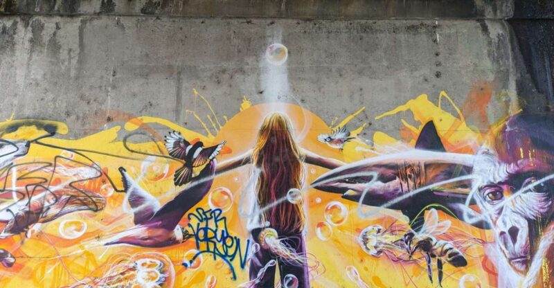 Strasbourg: Street Art Tour - Highlights of the Tour