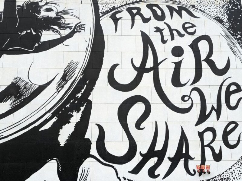 Strasbourg: Street Art Tour - Photo Opportunities