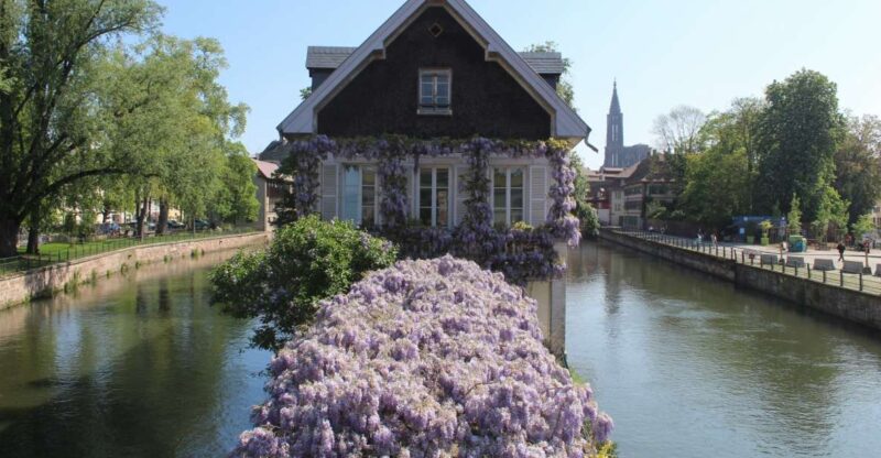 Strasbourg: Walking Tour With Local Guide - Itinerary