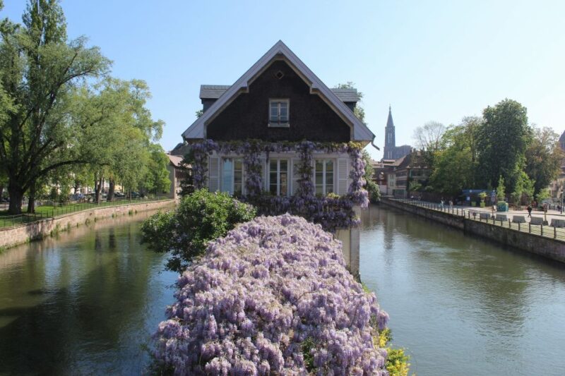 Strasbourg: Walking Tour With Local Guide - Exploring the Grande Île