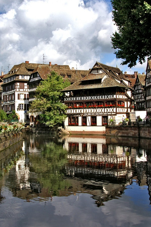 Strasbourg : Wine Tour by Bike With a Local - Activity Overview