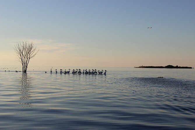 Strawberry Islands Scenic Boat Tour and Historic Cottage Row - Additional Details