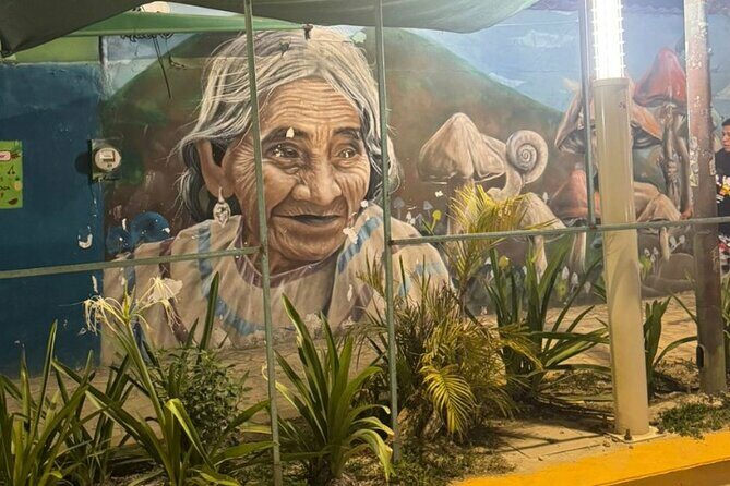 Street Art and Shopping Tour in Playa del Carmen - Discovering Playa del Carmen’s Street Art Scene