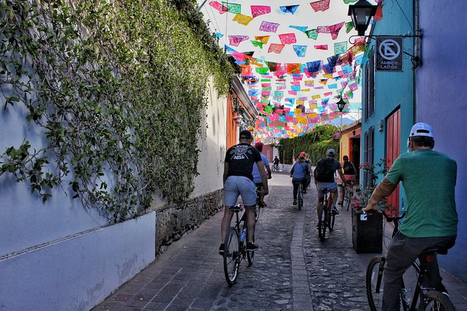Street Art Bike Ride - Exploring Colorful Murals