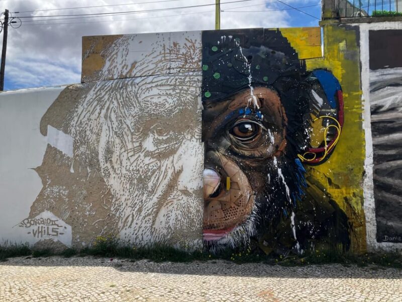 Street Art Lisbon: Tuk Tuk Tour - Pickup Location and Cancellation Policy