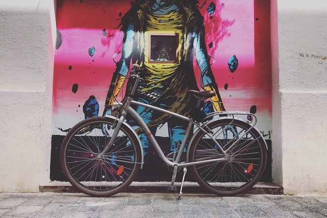 STREET ART Private Guided Tour on Bike, E-Bike, E-Step or Segway - Accessibility Information