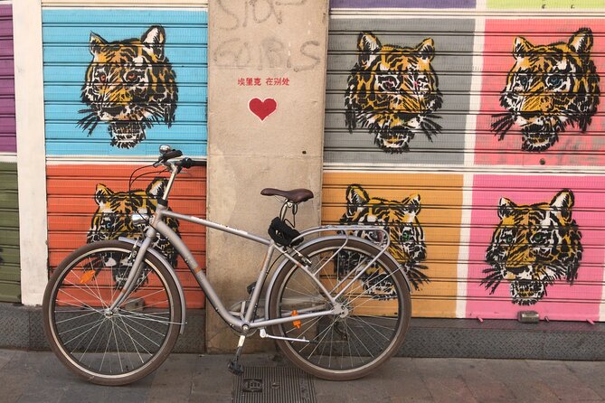 STREET ART Private Guided Tour on Bike, E-Bike, E-Step or Segway - Cancellation Policy