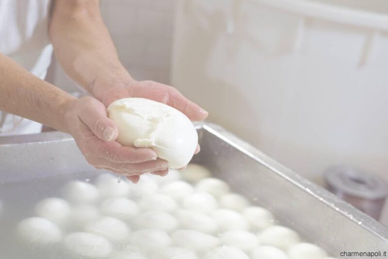 Street Food Tour: the Neapolitan Culinary Art - Neapolitan Street Food Culture