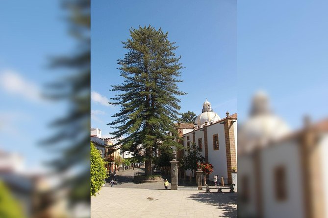 Street Markets of Teror and San Mateo Tour - Convenient Pickup and Drop-off