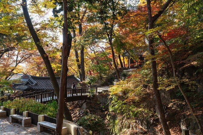 Street photoshoot and Seoul Hidden gem History Walking Tour - The Value of This Tour